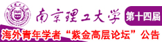 东北少妇被干湿了南京理工大学第十四届海外青年学者紫金论坛诚邀海内外英才！